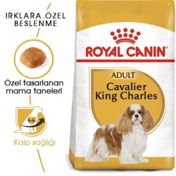 Royal Canin Cavalier King Charles 27 Yetişkin Köpek Maması 3 Kg Royal Canin Cavalier King Charles 27 Yetişkin Köpek Maması 3 Kg