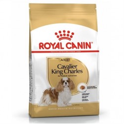 Royal Canin Cavalier King Charles 27 Yetişkin Köpek Maması 3 Kg Royal Canin Cavalier King Charles 27 Yetişkin Köpek Maması 3 Kg