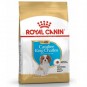 Royal Canin Cavalier King Charles Junior Yavru köpek Maması 1,5 Kg