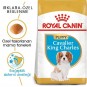 Royal Canin Cavalier King Charles Junior Yavru köpek Maması 1,5 Kg