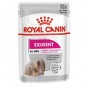 Royal Canin CCN Exigent Köpek Konservesi 85gr