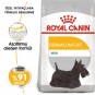 Royal Canin CCN Mini Derma Köpek Maması 3 kg