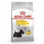 Royal Canin CCN Mini Derma Köpek Maması 3 kg