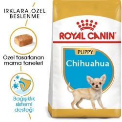 Royal Canin Chihuahua Junior Yavru Köpek Maması 1,5Kg