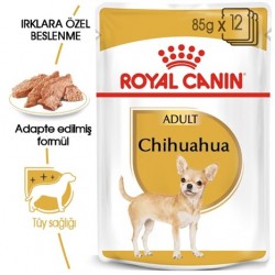 Royal Canin Chihuahua Yetişkin Köpek Konservesi 85 Gr Royal Canin Chihuahua Yetişkin Köpek Konservesi 85 Gr