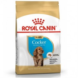 Royal Canin Cocker Junior Yavru Köpek Maması 3 Kg