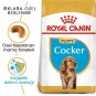 Royal Canin Cocker Junior Yavru Köpek Maması 3 Kg