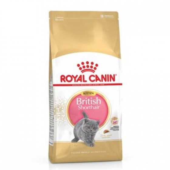 Royal Canin British Shorthair Yavru Kedi Maması 2 Kg