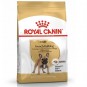 Royal Canin French Bulldog Yetişkin Köpek Maması 3 Kg