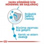 Royal Canin Giant Junior Dev Irk Yavru Köpek Maması 15 Kg