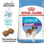 Royal Canin Giant Junior Dev Irk Yavru Köpek Maması 15 Kg