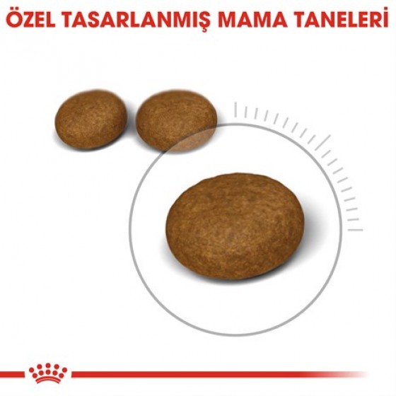 Royal Canin Hair Skin Hassas Tüylü Kediler İçin Mama 4 Kg