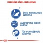 Royal Canin İndoor 27 Kuru Kedi Maması 400 Gr