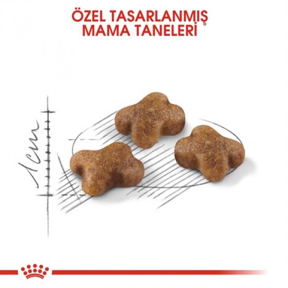 Royal Canin Kitten Yavru Kuru Kedi Maması 400 Gr