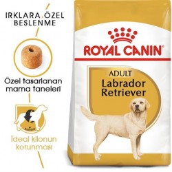 Royal Canin Labradorlar İçin Köpek Maması 12 Kg Royal Canin Labradorlar İçin Köpek Maması 12 Kg
