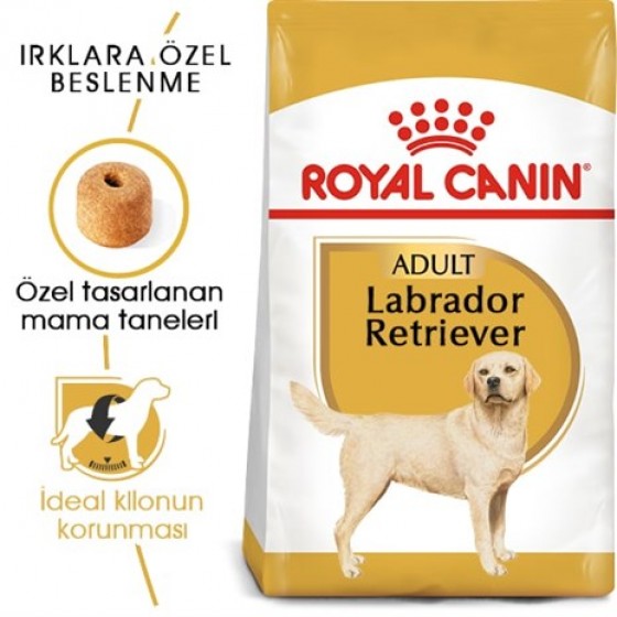 Royal Canin Labradorlar İçin Köpek Maması 12 Kg