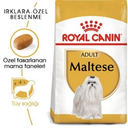 Royal Canin Maltese Bichon Maltais Yetişkin Köpek Maması 1.5 Kg Royal Canin Maltese Bichon Maltais Yetişkin Köpek Maması 1.5 Kg