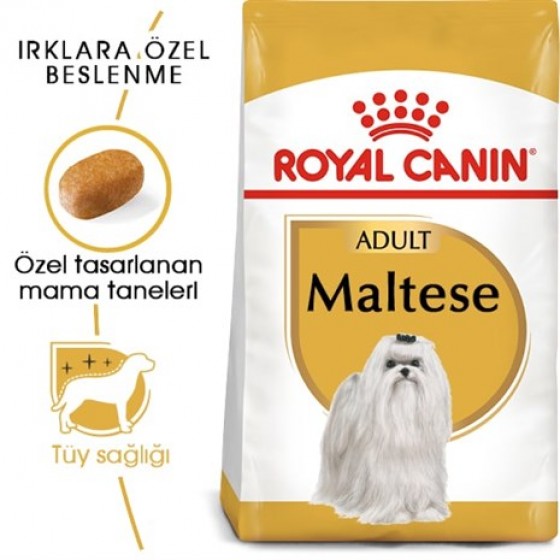 Royal Canin Maltese Bichon Maltais Yetişkin Köpek Maması 1.5 Kg