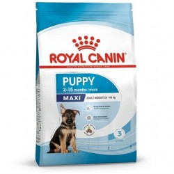 Royal Canin Maxi Puppy Köpek Maması 10 Kg Royal Canin Maxi Puppy Köpek Maması 10 Kg
