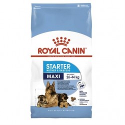 Royal Canin Maxi Starterr Babydog Köpek Maması 15 Kg Royal Canin Maxi Starterr Babydog Köpek Maması 15 Kg