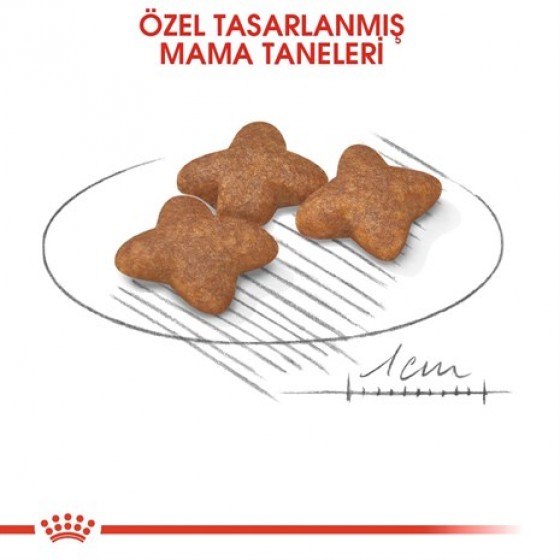 Royal Canin Mini Adult Yetişkin Köpek Maması 2 Kg