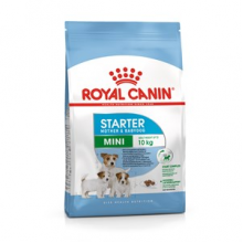 Royal Canin Mini Starter Yavru Kuru Köpek Maması 4 Kg