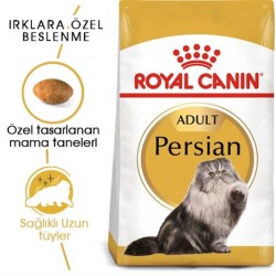 Royal Canin Persian Adult Kuru Kedi Maması 400 Gr Royal Canin Persian Adult Kuru Kedi Maması 400 Gr