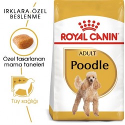 Royal Canin Poodle Adult Yetişkin Köpek Maması 3 Kg Royal Canin Poodle Adult Yetişkin Köpek Maması 3 Kg