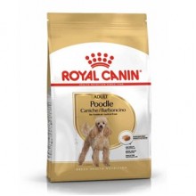Royal Canin Poodle Adult Yetişkin Köpek Maması 3 Kg