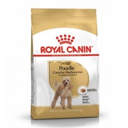 Royal Canin Poodle Adult Yetişkin Köpek Maması 3 Kg Royal Canin Poodle Adult Yetişkin Köpek Maması 3 Kg