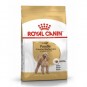 Royal Canin Poodle Adult Yetişkin Köpek Maması 3 Kg