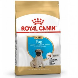 Royal Canin Pug 25 Pug Junior Yavru Köpek Maması 1,5 Kg