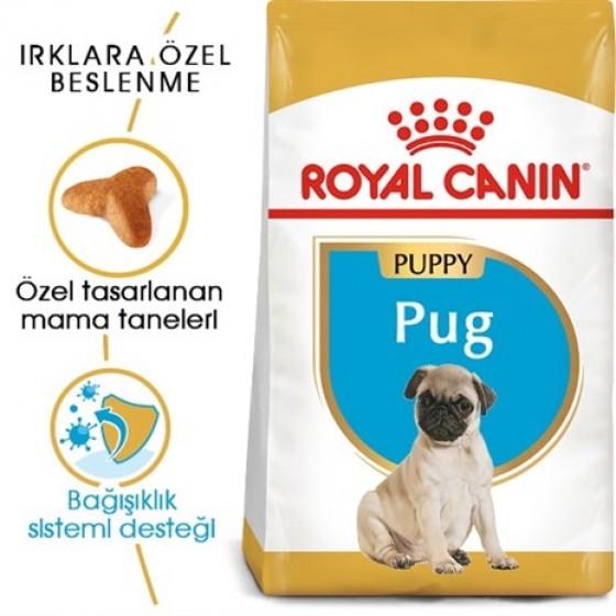 Royal Canin Pug 25 Pug Junior Yavru Köpek Maması 1,5 Kg