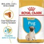 Royal Canin Pug 25 Pug Junior Yavru Köpek Maması 1,5 Kg