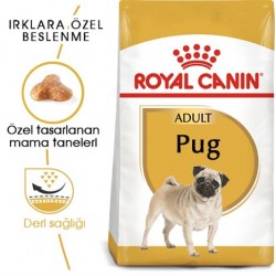 Royal Canin Pug 25 Pug Yetişkin Köpek Maması 1,5 Kg