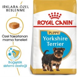 Royal Canin Yorkshire Terrier Yavru Köpek 1,5 Kg Royal Canin Yorkshire Terrier Yavru Köpek 1,5 Kg