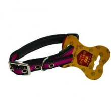 Royale Pet Köpek Boyun Tasması Small