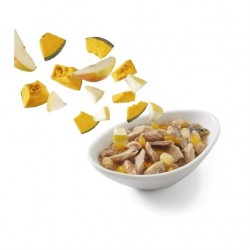 Schesir Salads Poke Denizbalığı, Balkabağı, Armutlu Kedi Salatası 85gr Schesir Salads Poke Denizbalığı, Balkabağı, Armutlu Kedi Salatası 85gr