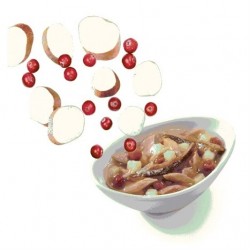 Schesir Salads Poke Ton, Hamsi, Tatlı Patates, Yaban Mersinli Kedi Salatası 85gr Schesir Salads Poke Ton, Hamsi, Tatlı Patates, Yaban Mersinli Kedi Salatası 85gr