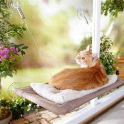 Sunny Seat Cama Yapışan Kedi Yatağı Sunny Seat Cama Yapışan Kedi Yatağı