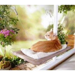 Sunny Seat Cama Yapışan Kedi Yatağı