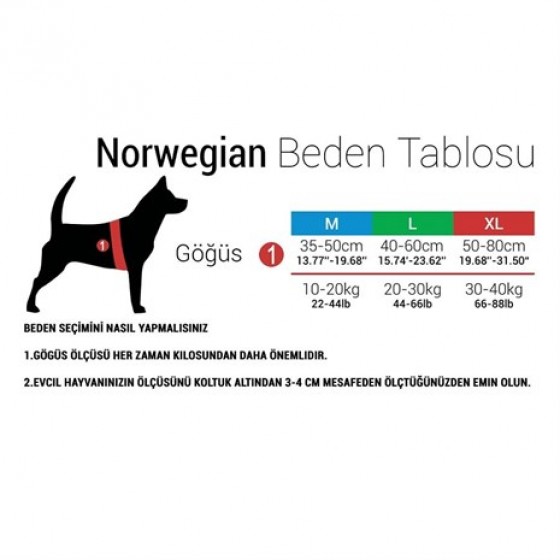 Tailpetz Norwegian Göğüs Tasması Medium Kahverengi