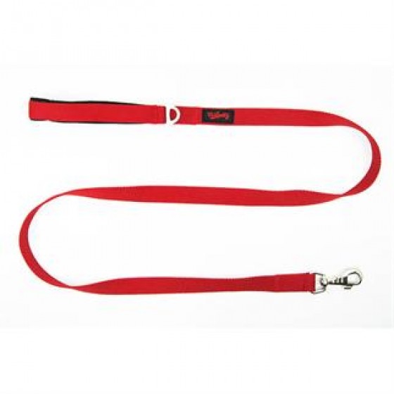 Tailpetz Red Match Leash Gezdirme Tasması