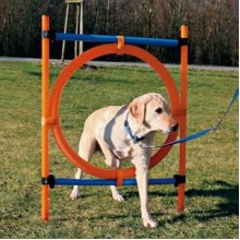 Trixie Agility Köpek Eğitim Çemberi 115 Cm 65 Cm Çapında