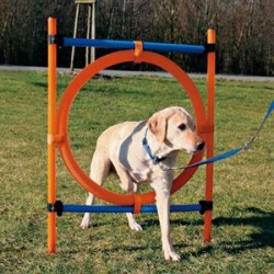 Trixie Agility Köpek Eğitim Çemberi 115 Cm 65 Cm Çapında Trixie Agility Köpek Eğitim Çemberi 115 Cm 65 Cm Çapında