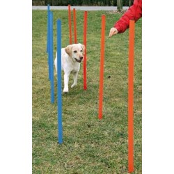 Trixie Agility Köpek Eğitim Direkleri 12 Adet 115 Cm