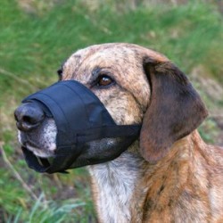 Trixie Fileli Köpek Ağızlığı Medium 18-24cm Trixie Fileli Köpek Ağızlığı Medium 18-24cm