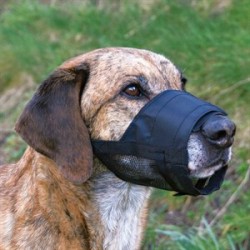 Trixie Fileli Köpek Ağızlığı Small Medium 14-22 Cm Trixie Fileli Köpek Ağızlığı Small Medium 14-22 Cm