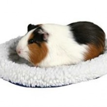 Trixie Hamster Yatağı 16 x 13 Cm