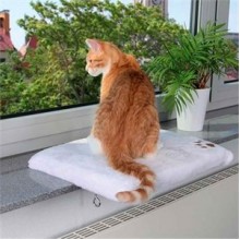 Trixie Kedi Cam Önü Oturma Platformu